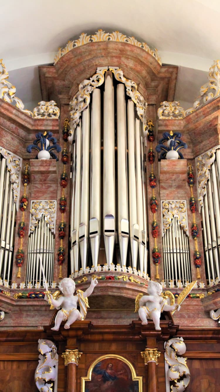 Rieger Orgelbau