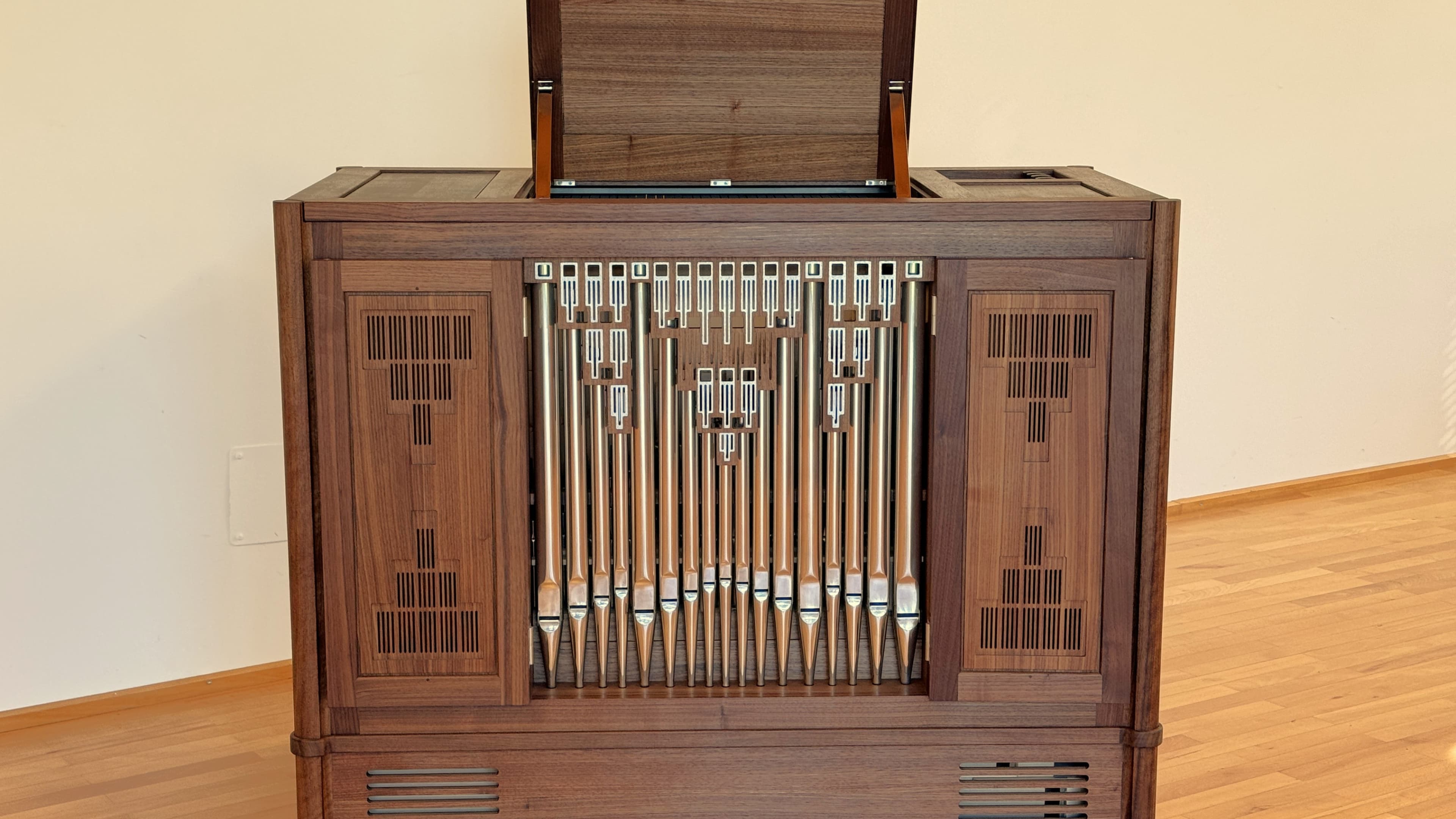Chest Organs