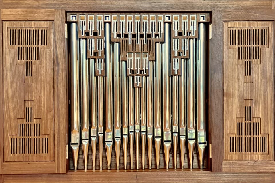 Chest Organ